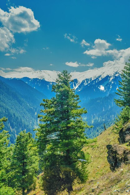 Zdjęcie sceniczny widok gór na tle nieba