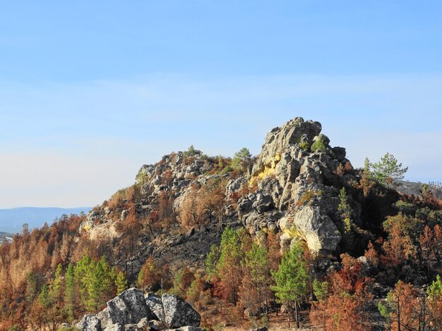 Zdjęcie sceniczny widok gór na tle nieba