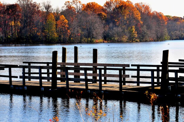 Zdjęcie sceniczny widok jeziora jesienią