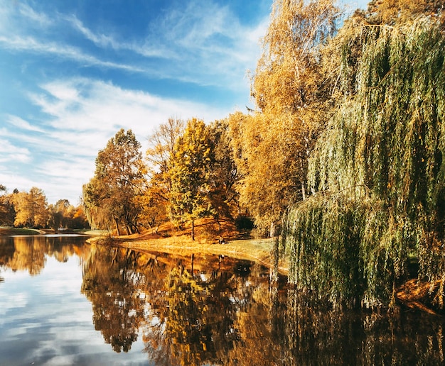 Zdjęcie sceniczny widok jeziora na tle nieba jesienią