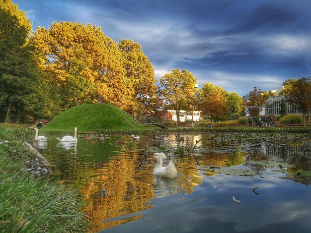 Zdjęcie sceniczny widok jeziora na tle nieba jesienią