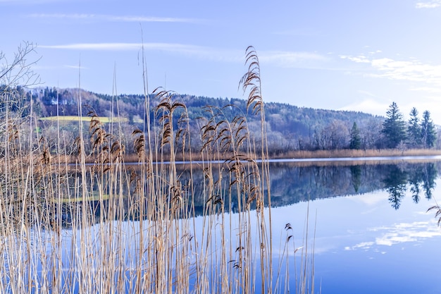 Zdjęcie sceniczny widok jeziora na tle nieba w zimie