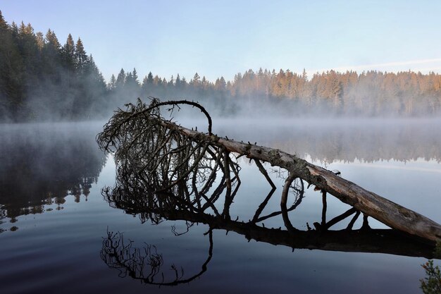 Zdjęcie sceniczny widok jeziora na tle nieba w zimie