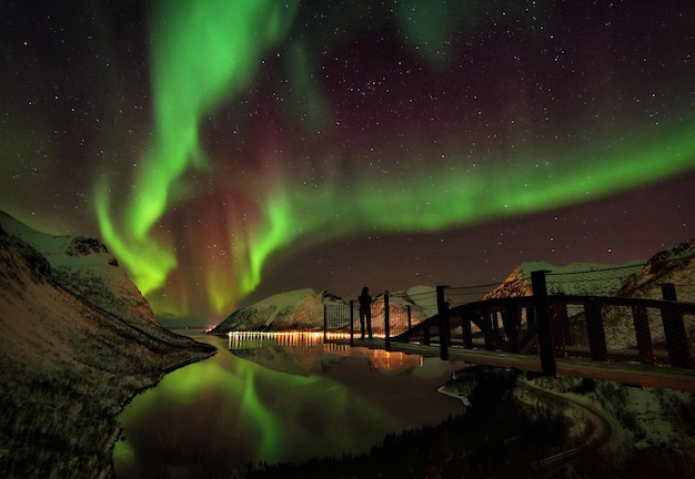 Sceniczny widok jeziora na tle nocnego nieba