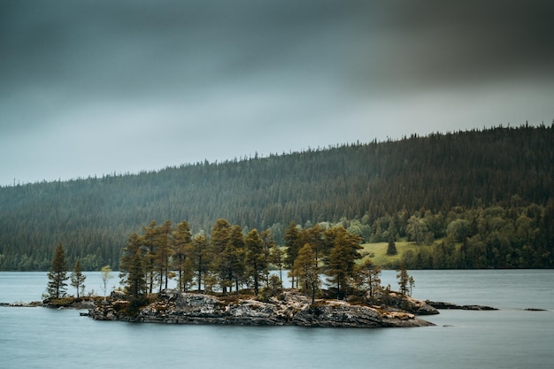 Sceniczny widok jeziora pośród drzew na chmurnym niebie