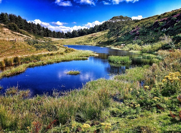 Sceniczny widok jeziora pośród krajobrazu