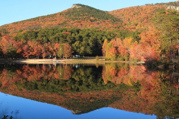 Sceniczny widok jeziora przez drzewa jesienią