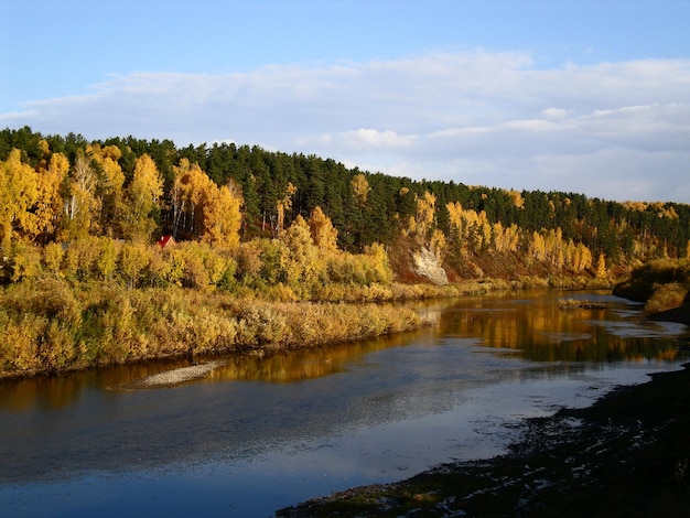 Zdjęcie sceniczny widok jeziora przez drzewa na tle nieba