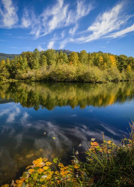 Zdjęcie sceniczny widok jeziora przez drzewa na tle nieba