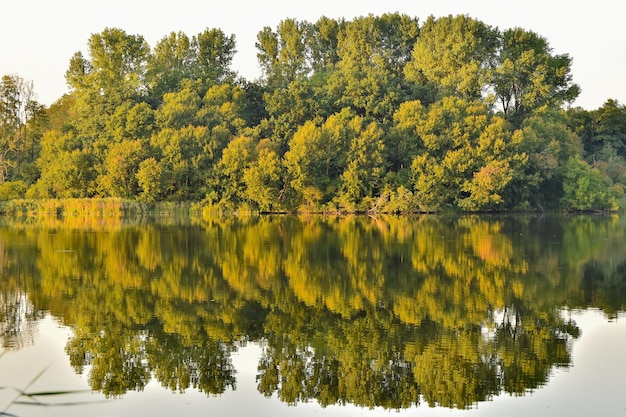 Sceniczny widok jeziora przez drzewa na tle nieba