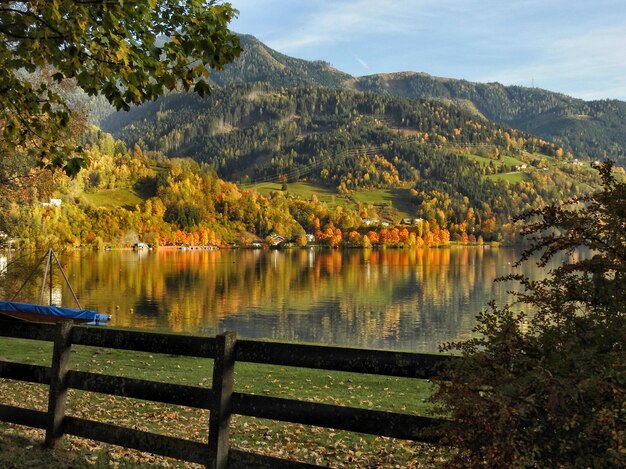 Zdjęcie sceniczny widok jeziora przez drzewa na tle nieba