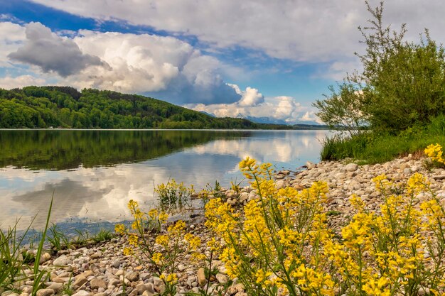 Zdjęcie sceniczny widok jeziora przez drzewa na tle nieba