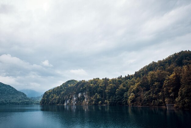 Zdjęcie sceniczny widok jeziora przez drzewa na tle nieba