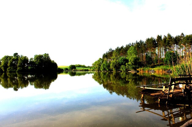 Zdjęcie sceniczny widok jeziora przez drzewa na tle nieba