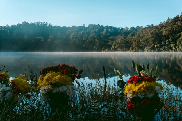 Zdjęcie sceniczny widok jeziora przez drzewa na tle nieba