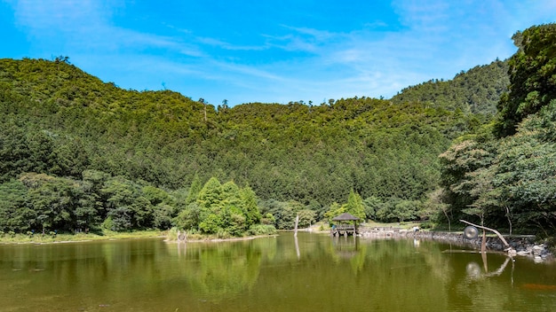 Zdjęcie sceniczny widok jeziora przez drzewa na tle nieba