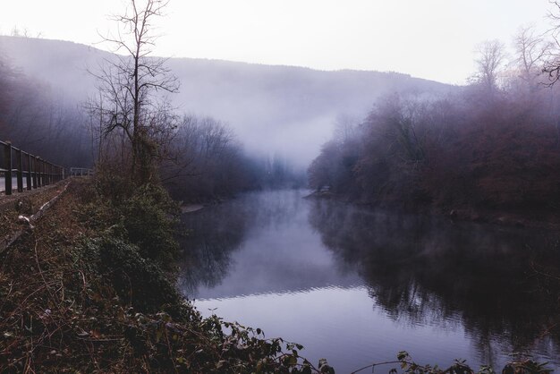 Zdjęcie sceniczny widok jeziora przez drzewa na tle nieba