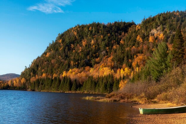 Zdjęcie sceniczny widok jeziora przez drzewa na tle nieba