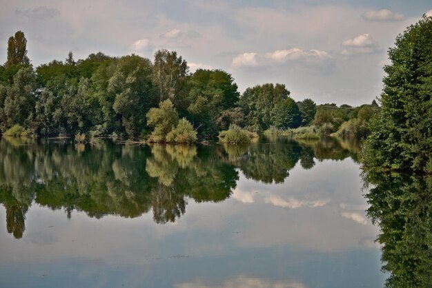 Zdjęcie sceniczny widok jeziora przez drzewa na tle nieba