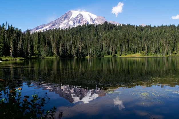 Sceniczny widok jeziora przez drzewa na tle nieba