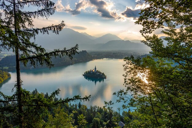 Zdjęcie sceniczny widok jeziora przez drzewa na tle nieba