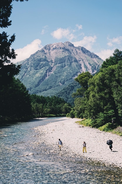 Sceniczny widok jeziora przez drzewa na tle nieba