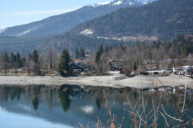 Zdjęcie sceniczny widok jeziora przez drzewa w zimie