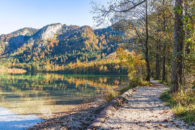 Sceniczny widok jeziora w lesie jesienią