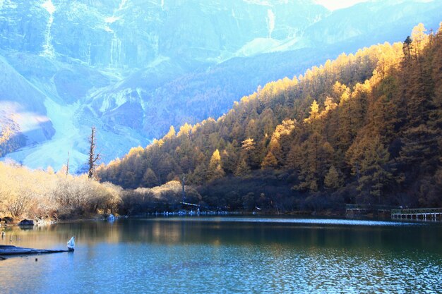 Zdjęcie sceniczny widok jeziora w lesie jesienią