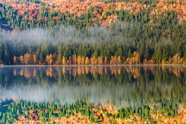 Sceniczny widok jeziora w lesie jesienią