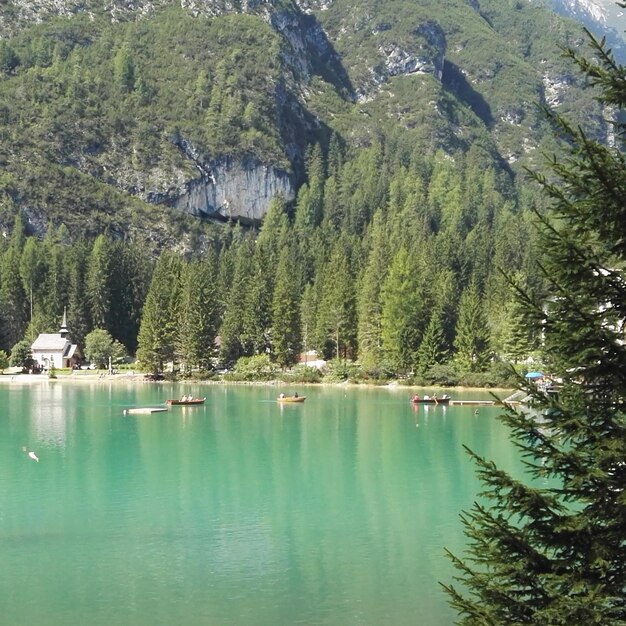 Zdjęcie sceniczny widok jeziora w lesie