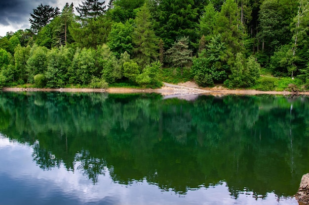 Zdjęcie sceniczny widok jeziora w lesie