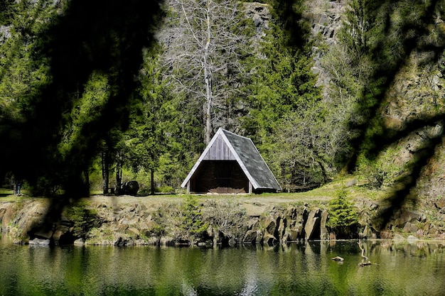 Zdjęcie sceniczny widok jeziora w lesie