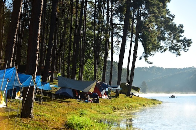 Zdjęcie sceniczny widok jeziora w lesie