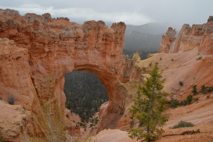 Zdjęcie sceniczny widok kanionu bryce