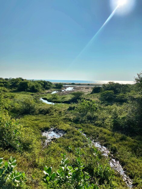 Zdjęcie sceniczny widok krajobrazu na jasnym niebie