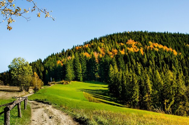 Zdjęcie sceniczny widok krajobrazu na jasnym niebie