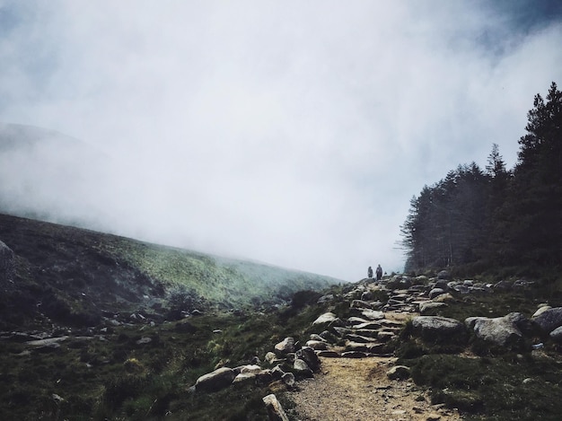 Sceniczny widok krajobrazu w mglistą pogodę na tle nieba