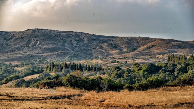 Sceniczny widok lądu na tle nieba