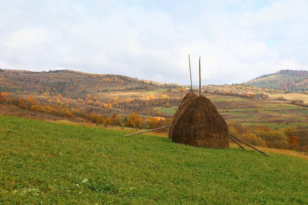 Zdjęcie sceniczny widok lądu na tle nieba