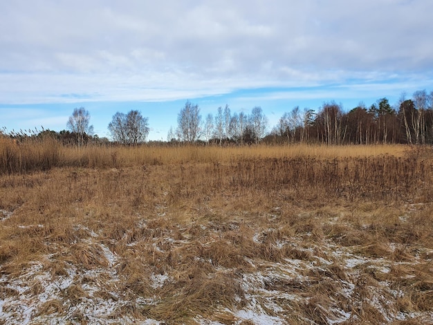Sceniczny widok lądu na tle nieba