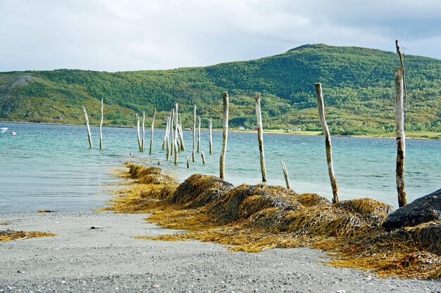 Sceniczny widok morza na tle nieba