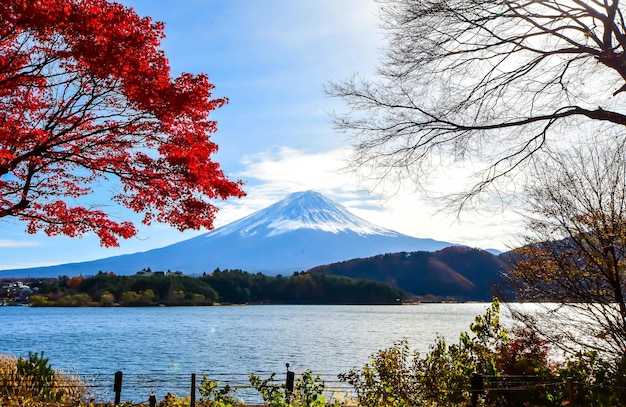 Sceniczny widok na góry Fuji na tle nieba z widokiem na czerwone drzewo klonowe powyżej