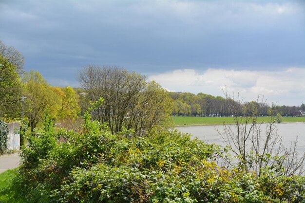 Zdjęcie sceniczny widok na jezioro na chmurnym niebie