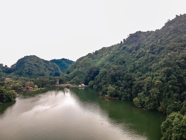 Zdjęcie sceniczny widok na rzekę pośród drzew na czyste niebo