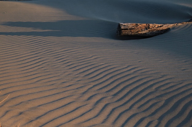 Zdjęcie sceniczny widok piasku na plaży na tle nieba