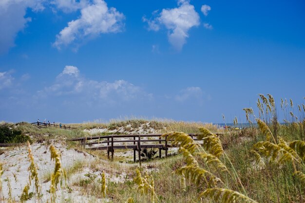 Sceniczny widok piaszczystych wydm na plaży z trawą na tle niebieskiego nieba