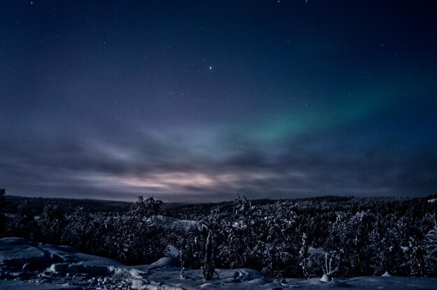 Zdjęcie sceniczny widok pokrytego śniegiem krajobrazu na tle nocnego nieba