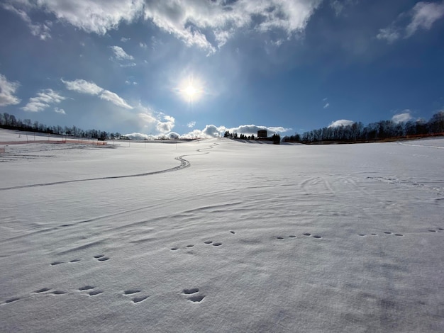 Zdjęcie sceniczny widok pokrytego śniegiem lądu na tle nieba