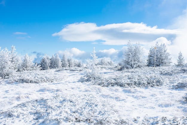 Sceniczny widok pokrytego śniegiem pola na tle nieba